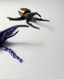 Hercules Beetle