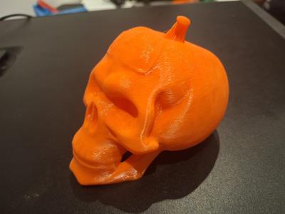 Halloween: Halloween Skull