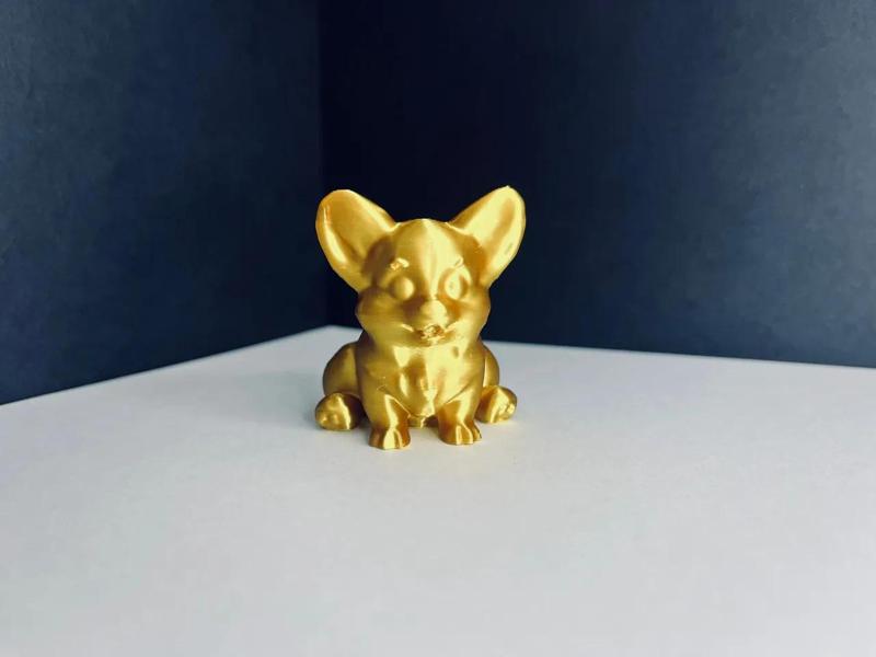 Dog-dog corgi dog   