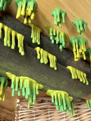 Slime Pack