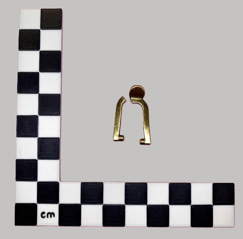 Scale Bar