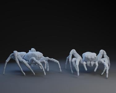 Jumping Spider