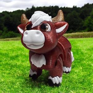 Highland Cow - Community Choice Model 1