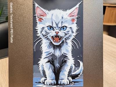 Angry Cat - Hueforge 136x235