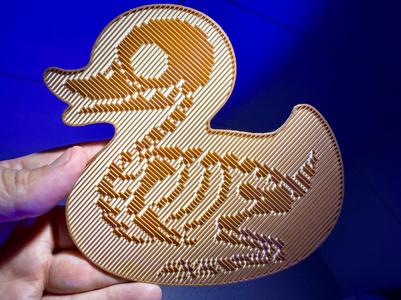 Holographic Effect Rubber Duck Skeleton