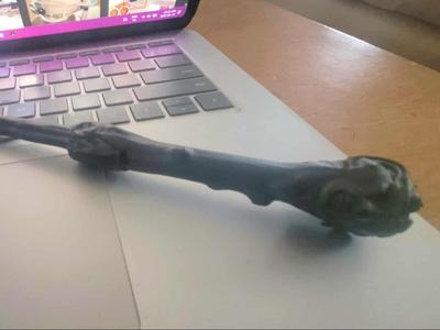 The Harry Nagus Wand - Harry Potter/Star Trek 
