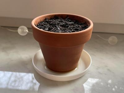 Small Plant Pot Saucer