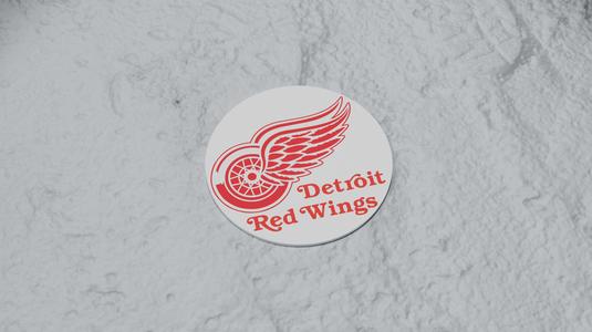 Detroit Red Wings Coaster