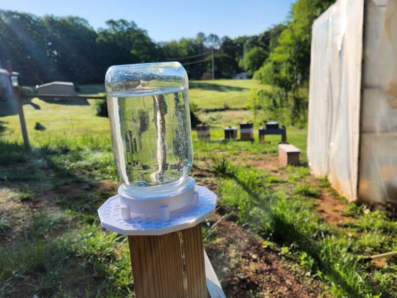 Bee Water Station wide mouth jar