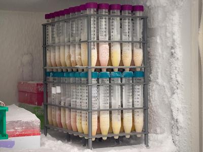 Fully printable 15mL Lab Rack (stackable)
