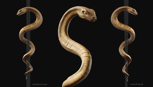 Medical symbol Asclepius - only Snake