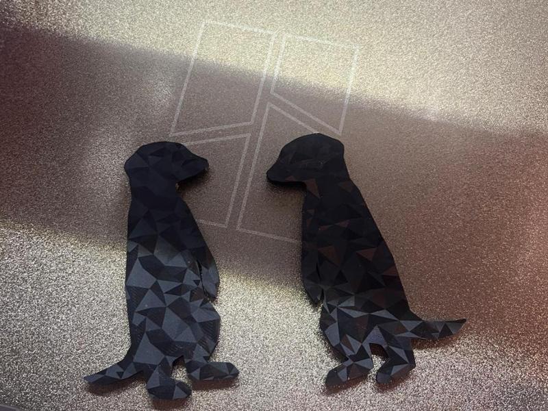 Meerkat Magnet