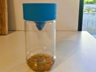 Wasp Trap Lid