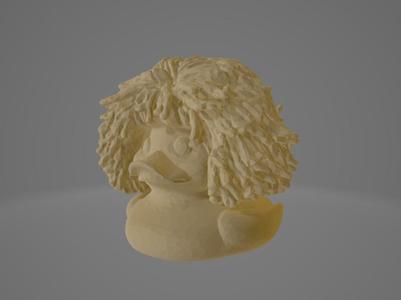 Duck with hair
