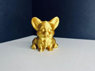 Corgi dog puppy