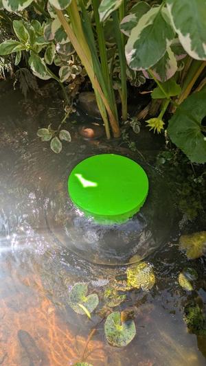 Fountain top