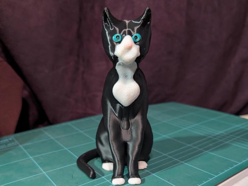 Tuxedo Cat Multicolour 