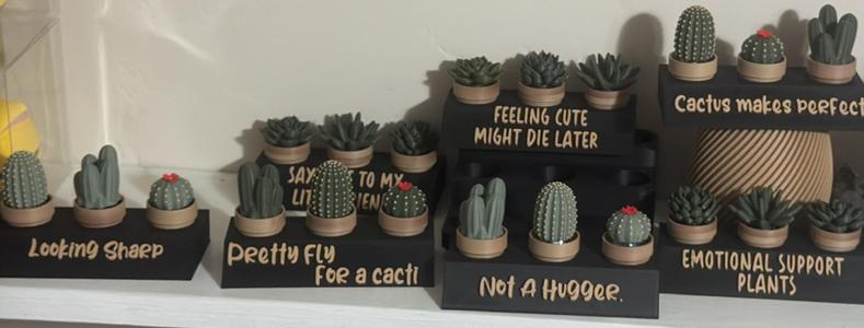 Sassy Plants Pocket Plant Holders