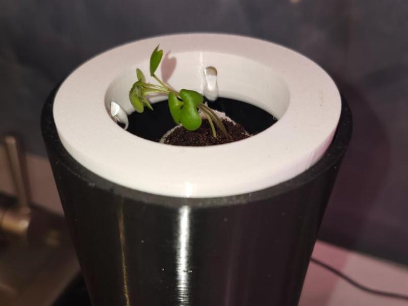 HydroVase - Leak-Free Self-Watering Planter