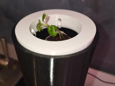 HydroVase - Leak-Free Self-Watering Planter