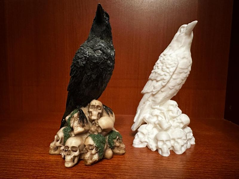 Raven on skull pile