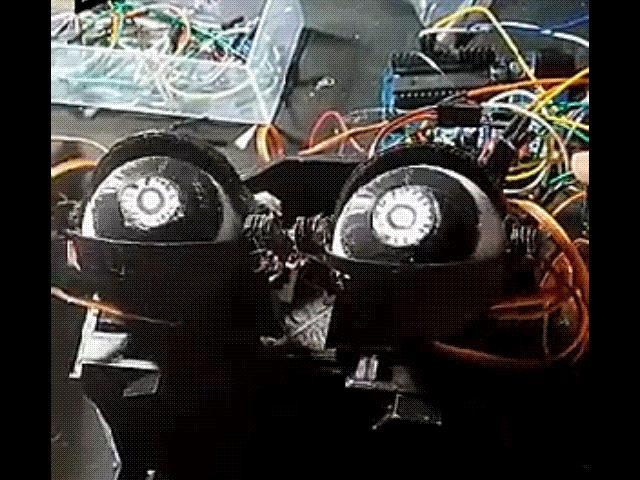 Animatronic eye mechanism FREE!