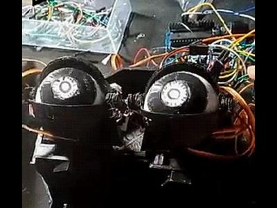 Animatronic eye mechanism FREE!