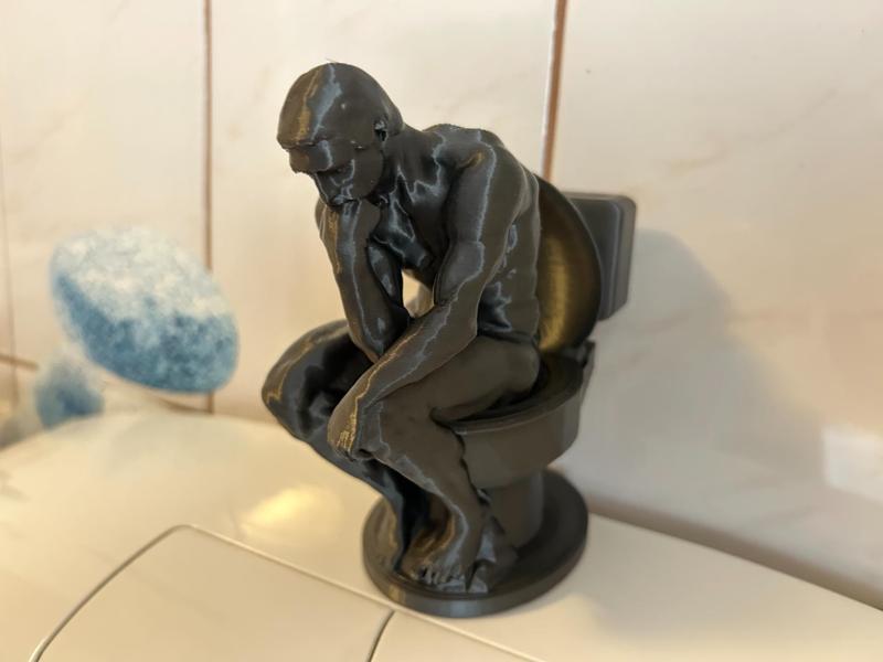 The Thinker on the Toilet