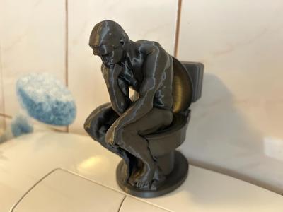 The Thinker on the Toilet
