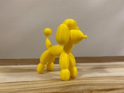 Balloon poodle (dog)