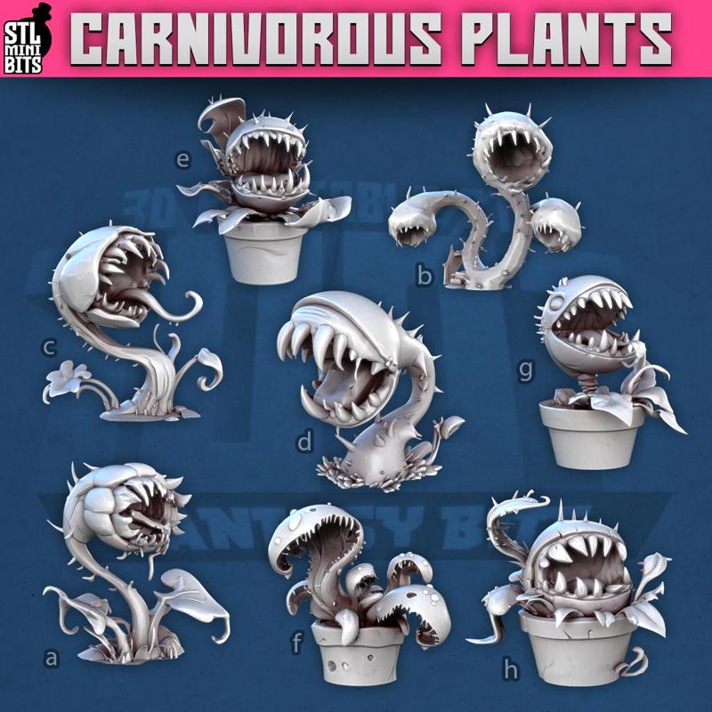 1001 - Carnivours Plant