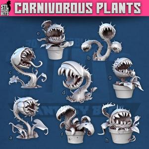 1001 - Carnivours Plant