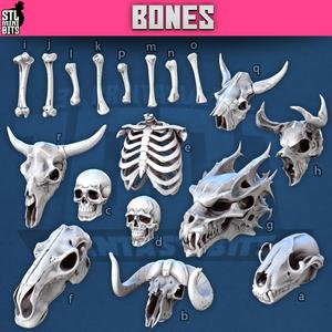 1001 - Bones