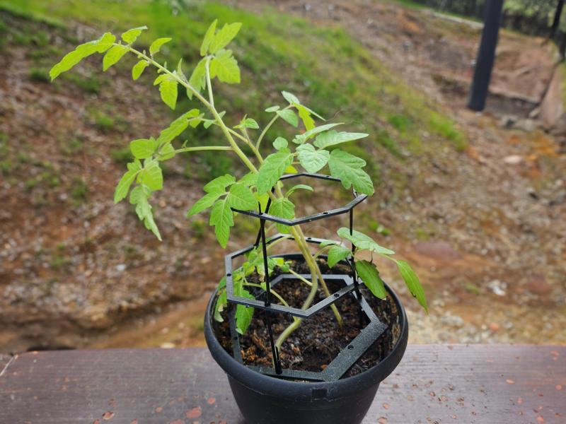 Plant Support Trellis Kit Card