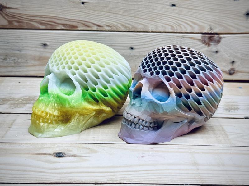 Brain Rot Low Poly Skull
