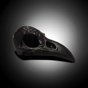 Ornate Raven Skull - Detailed
