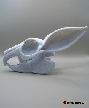 Rabbit Skull