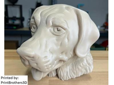 Labrador Retriever Head For Wall (Large)