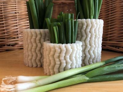 Ramen Vases