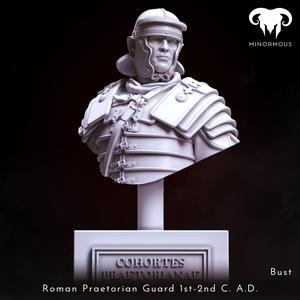 Bust – Roman Praetorian Guard 1st-2nd C. A.D. ready for the roman games!
