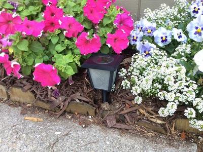 Sidewalk Lantern