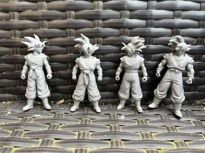 Goku family