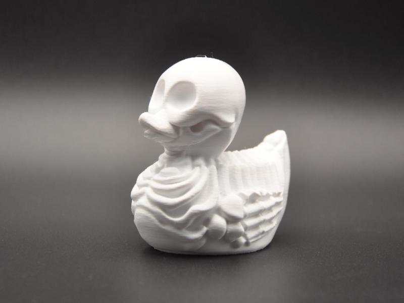 Skeleton Duck