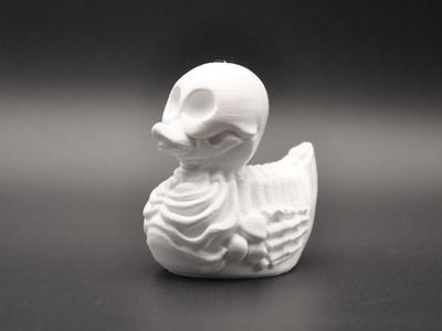 Skeleton Duck