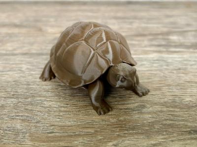 Tortoise Figurine (Detailed)