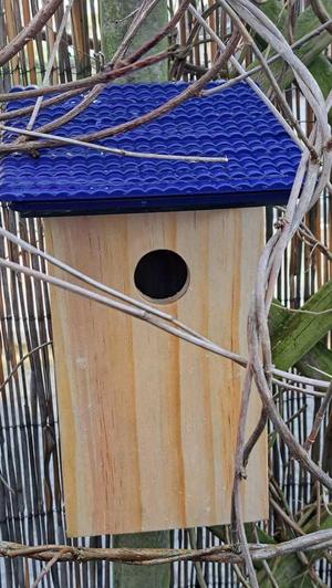 Aldi "Belavi" Nistkasten Flachdach - Ziegeldeckung  |  Aldi nesting box flat roof - tiled roof
