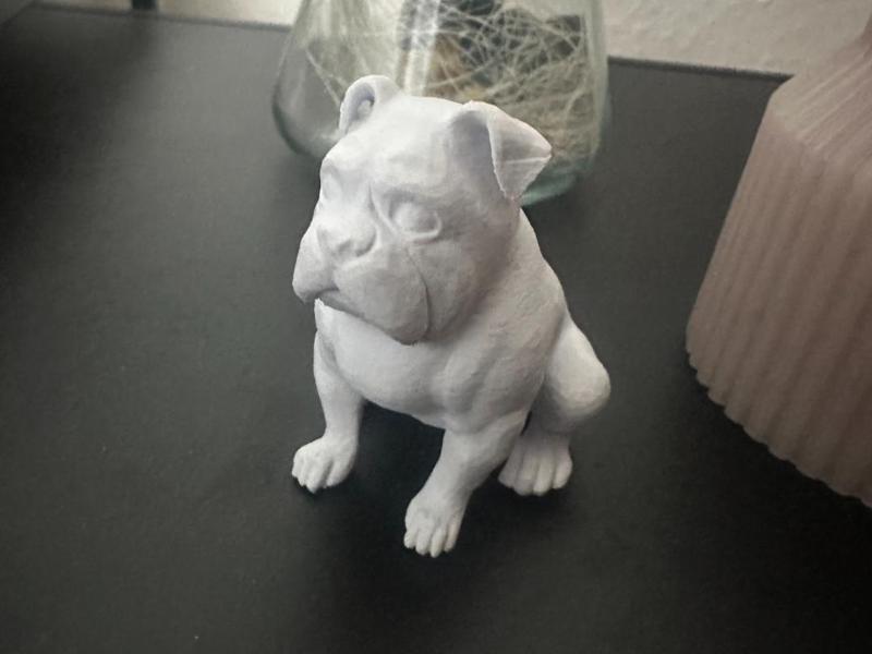 Bulldogge