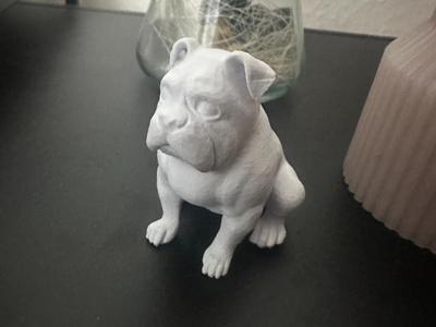 Bulldogge