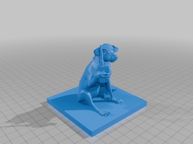 HamRadioDog