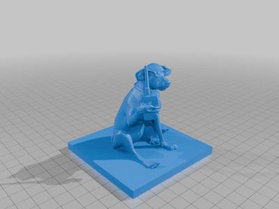 HamRadioDog